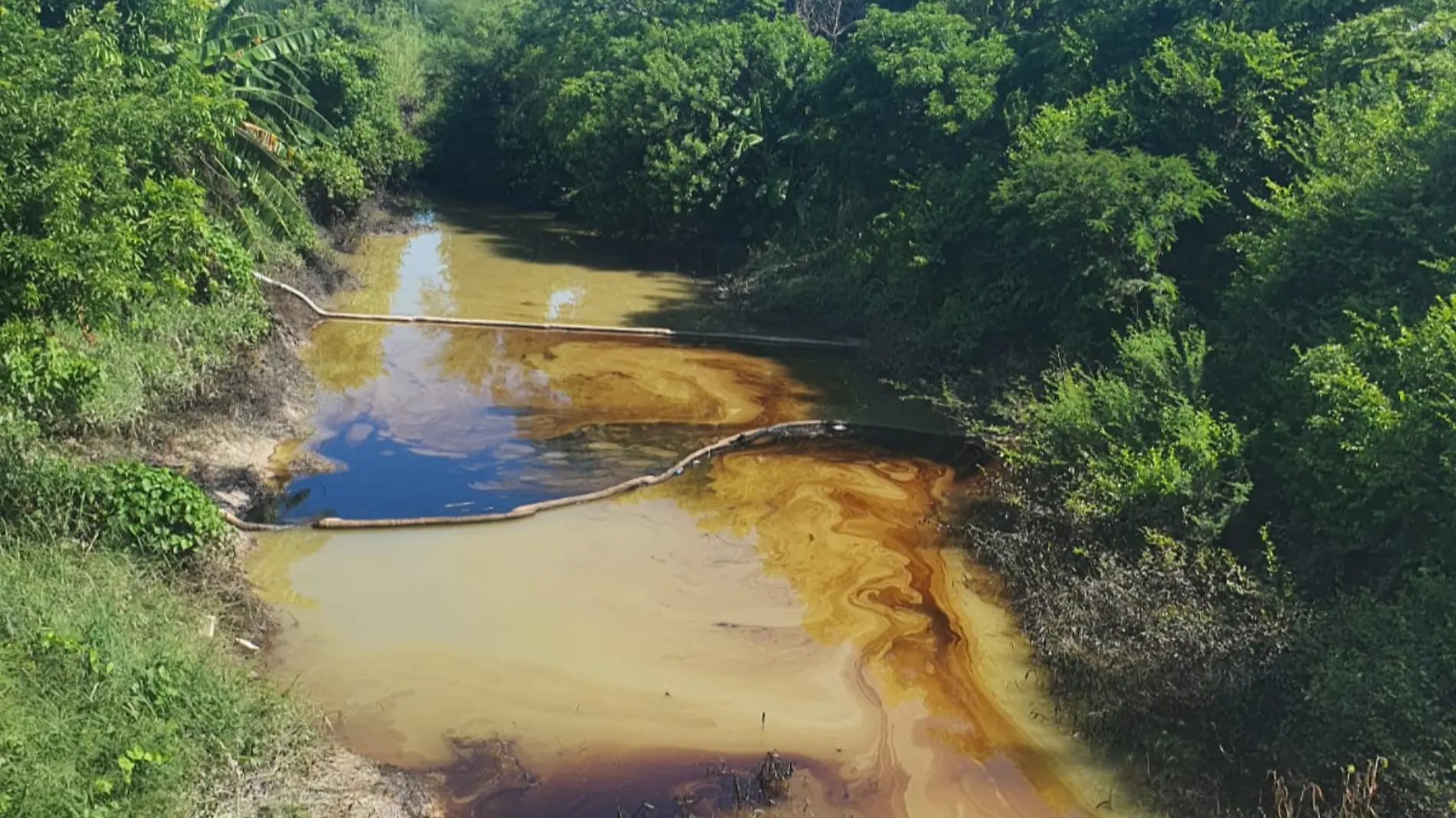 El derrame del hidrocarburo contaminó un venero de agua, el estero la Tuna y la Laguna del Champayán